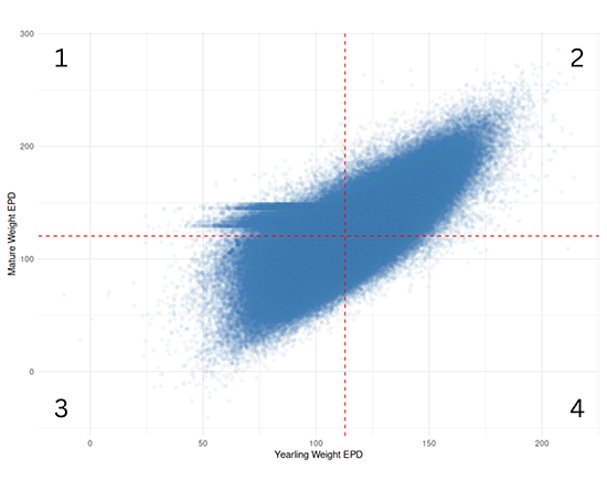 YW EPD by MW EPD-labeled